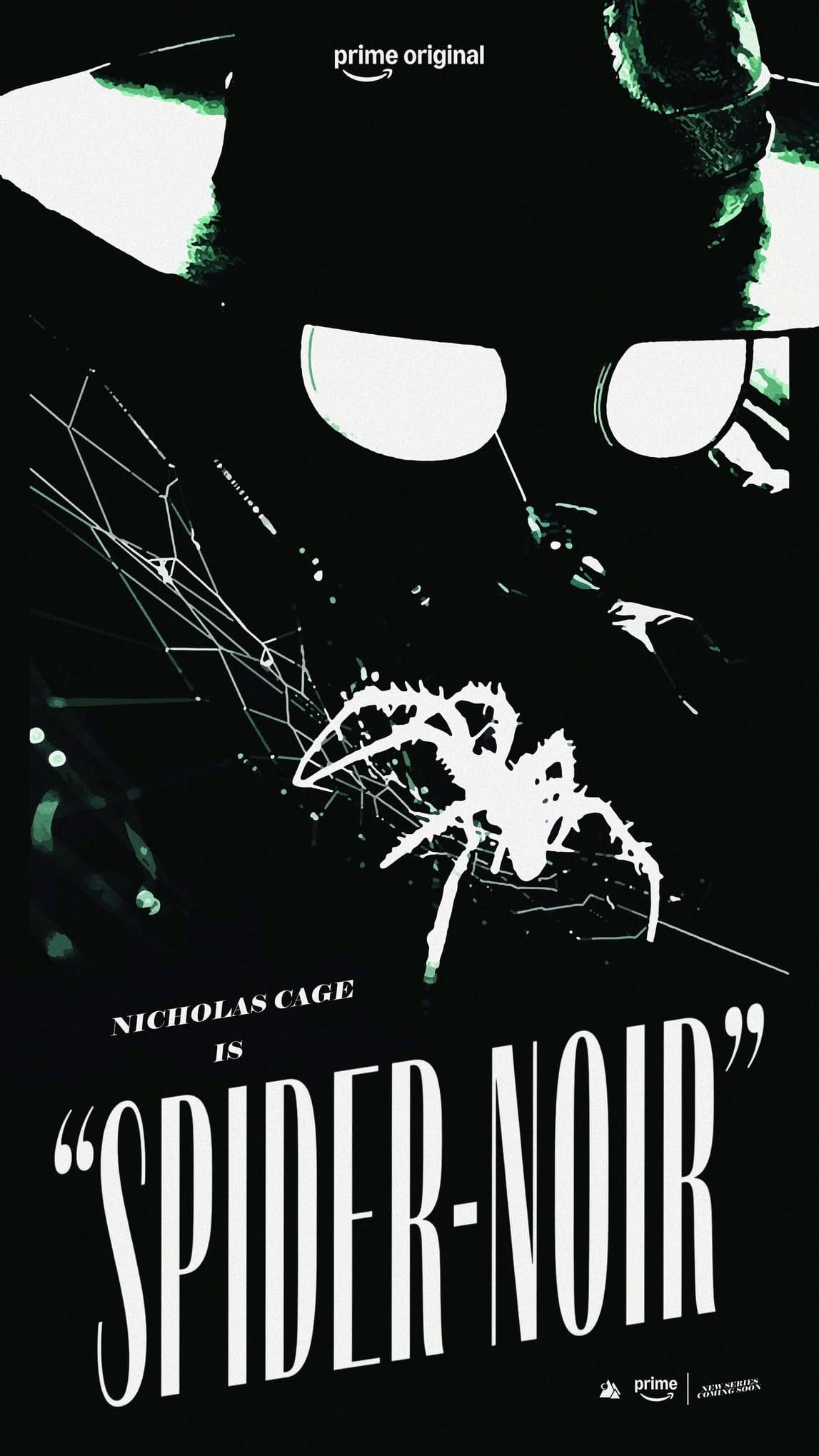 Spider Noir poster