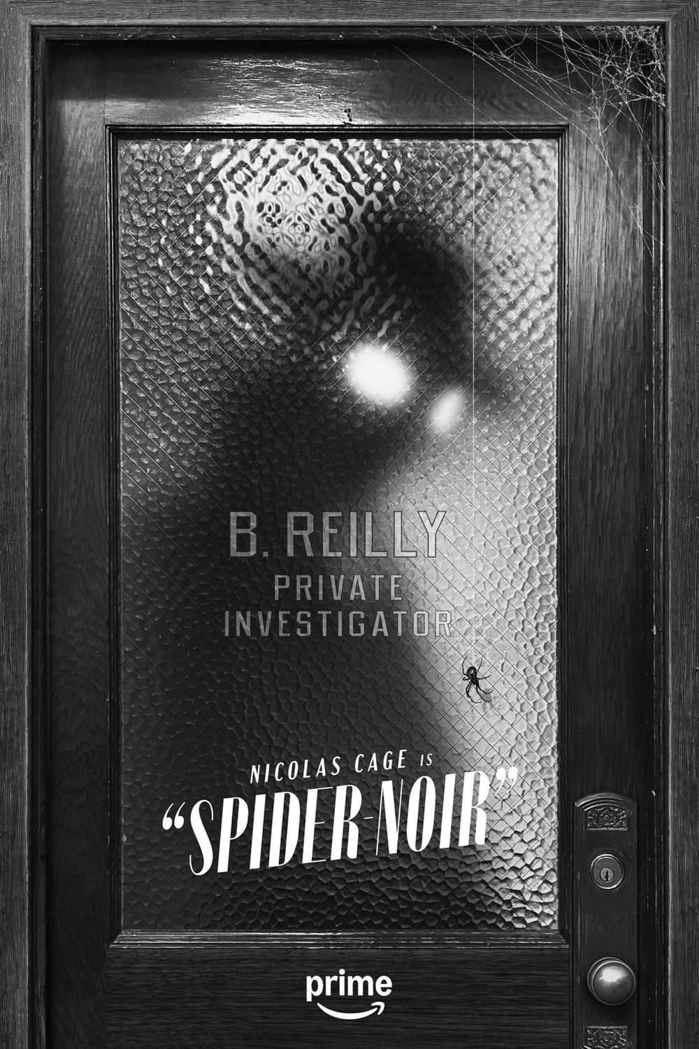 Spider Noir