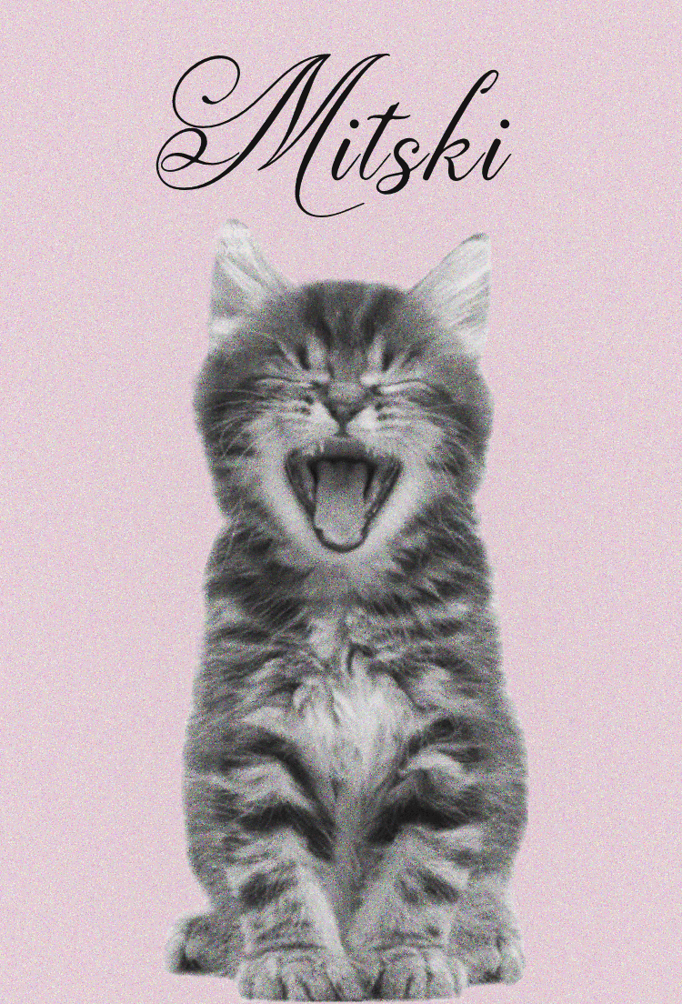 Pink cat Mitski poster