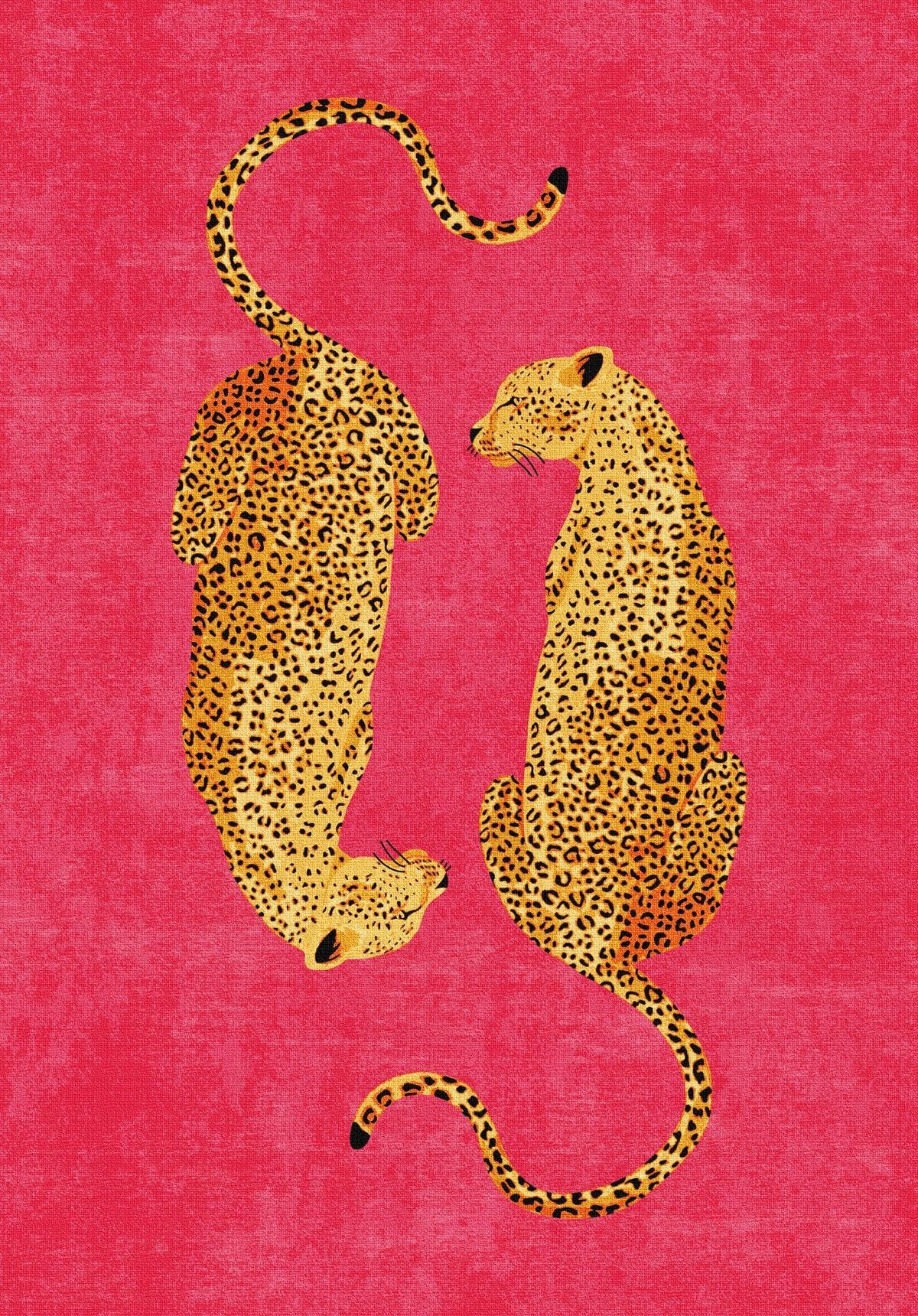 Cheetah poster