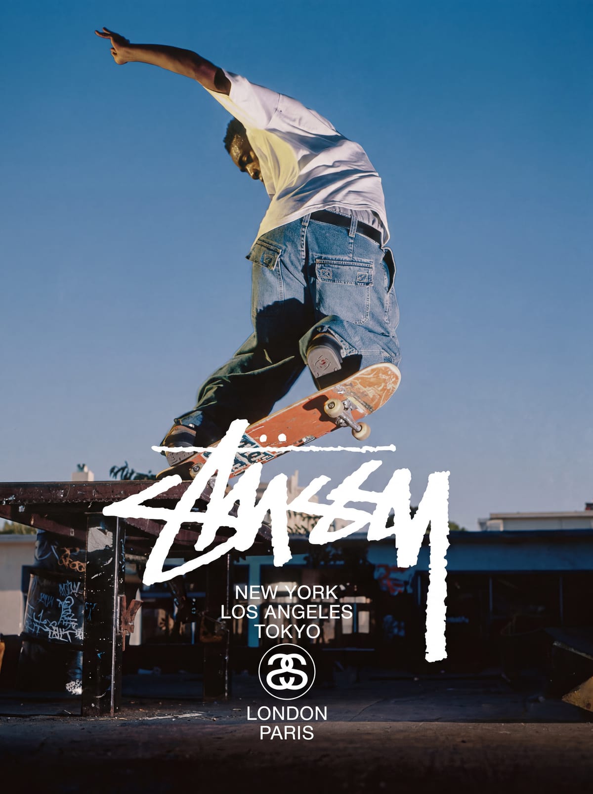 Skate Stussy Poster