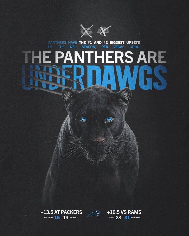 Panthers poster