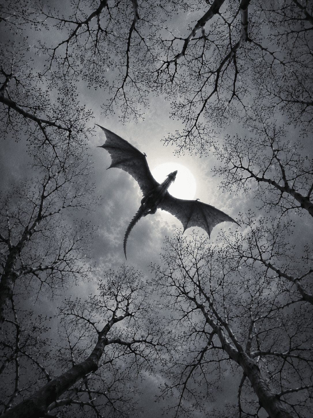 Dragon poster