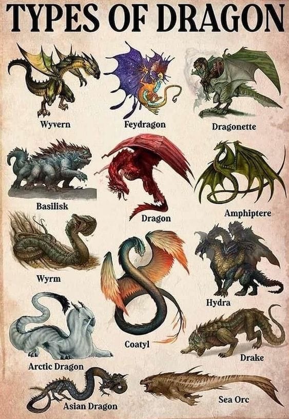 Dragon poster