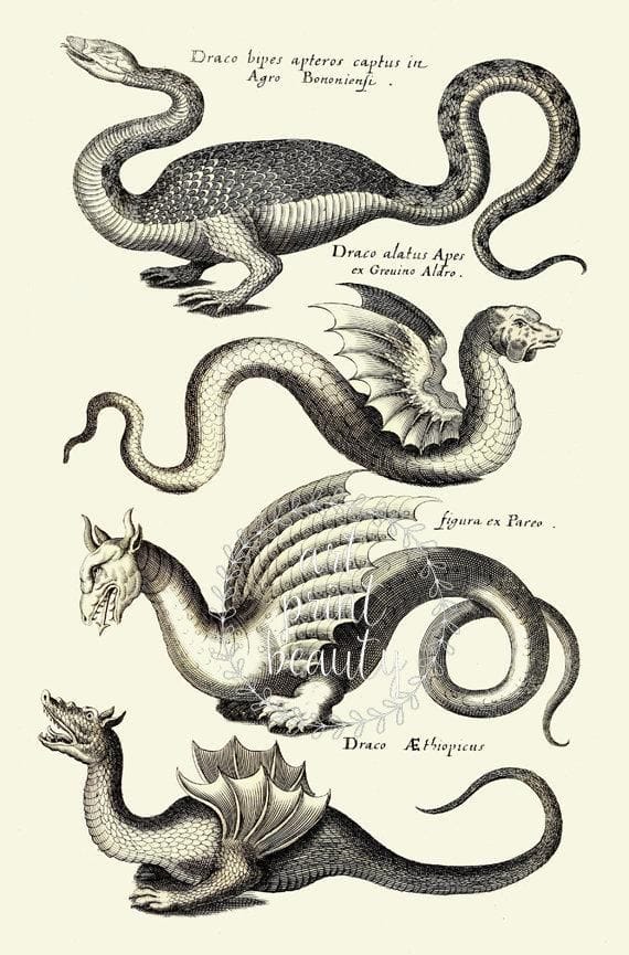 Dragon poster