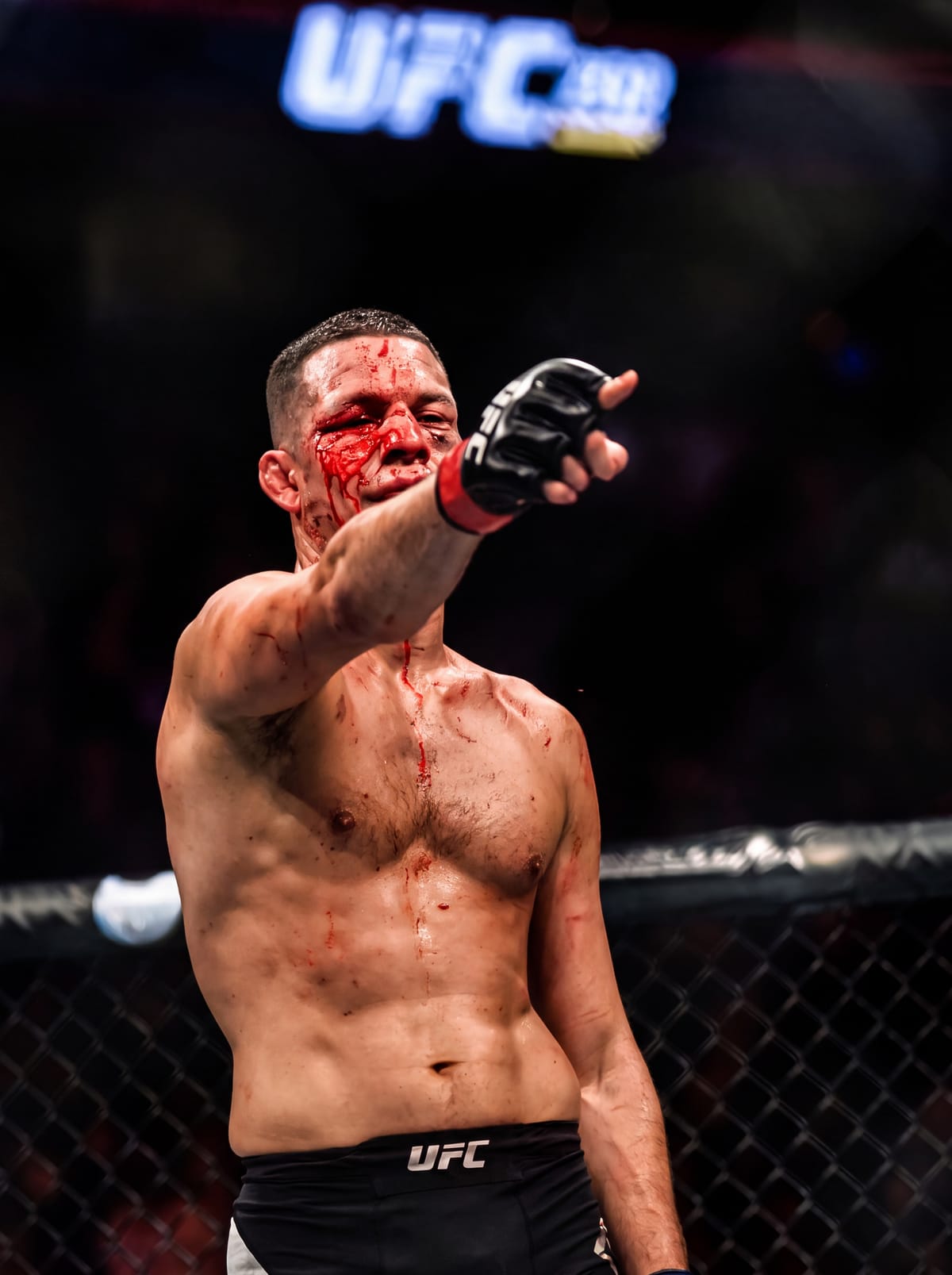 nate diaz