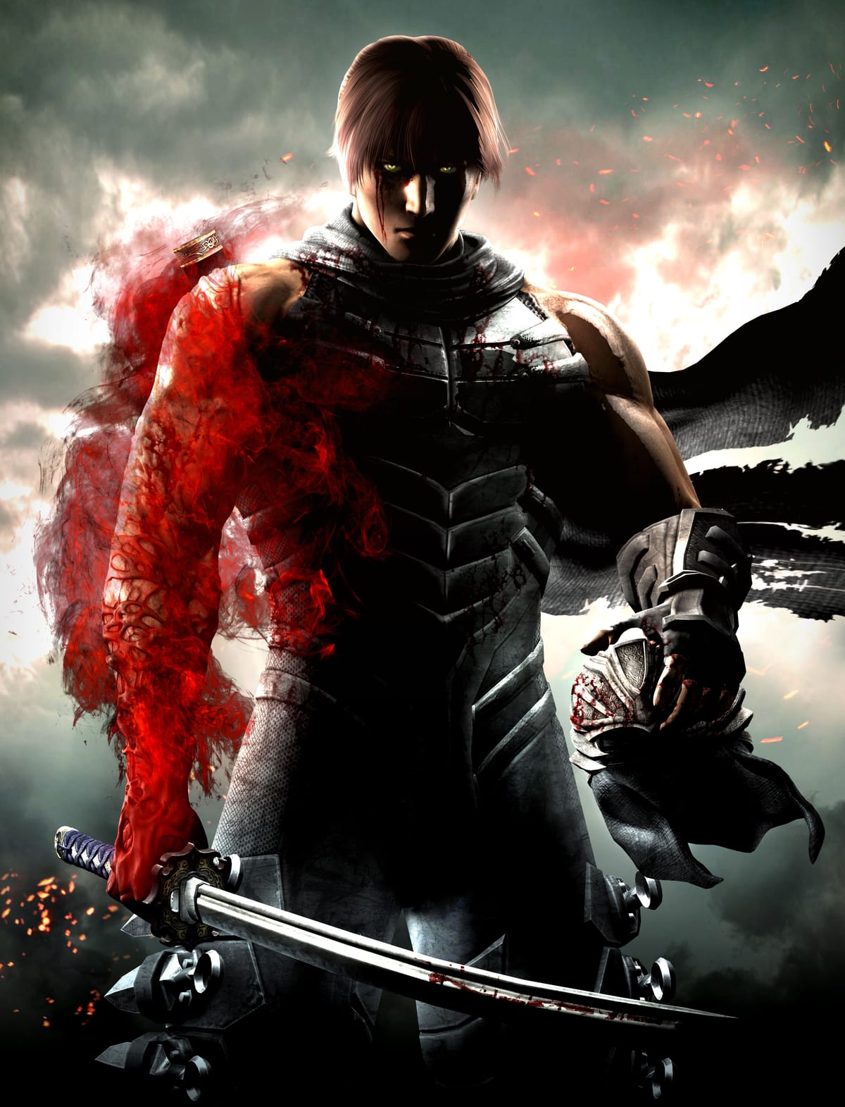 Ryu Hayabusa poster
