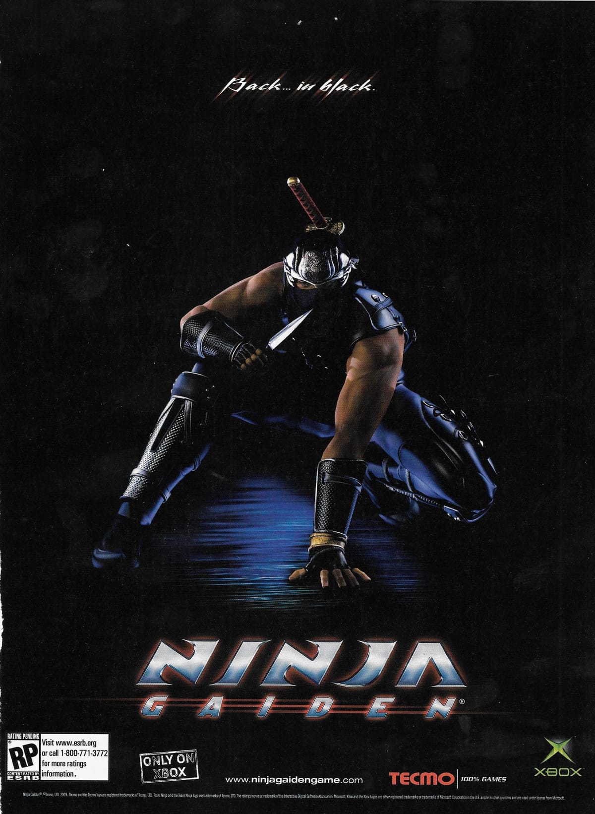 Ninja Gaiden poster