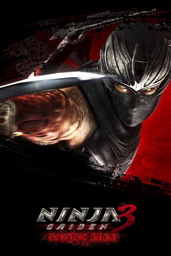 Ninja Gaiden poster