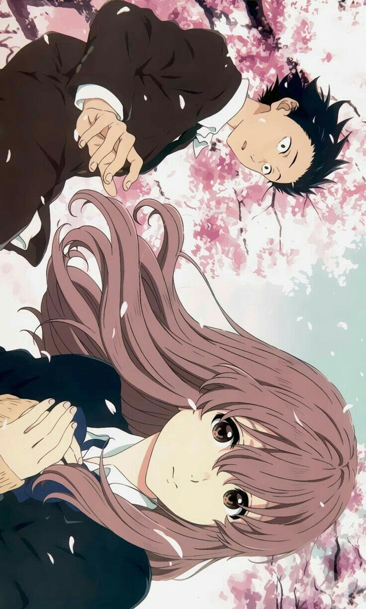 ( ˶ ❛ ꁞ ❛ ˶ )