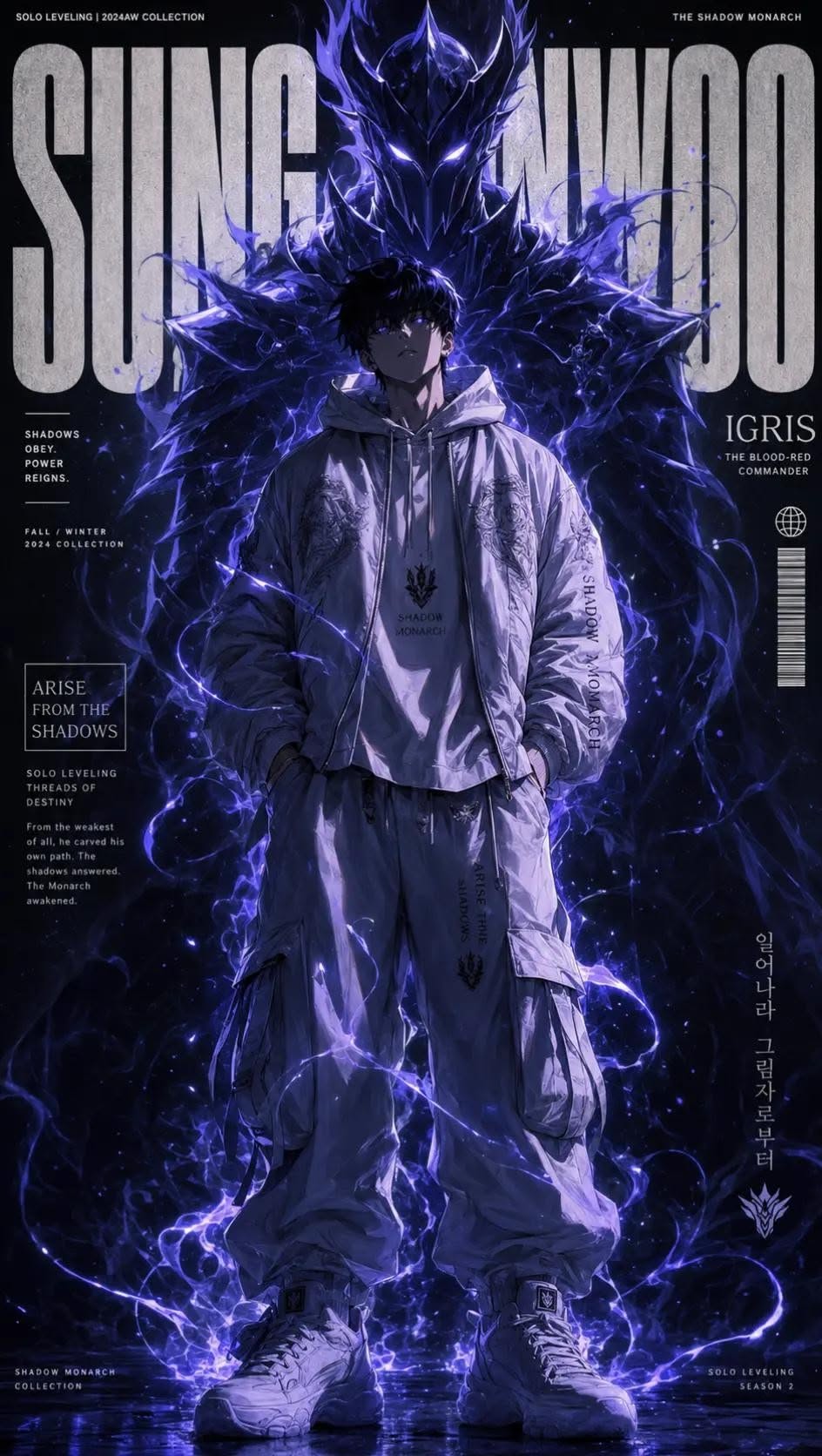 Sung Jinwoo poster