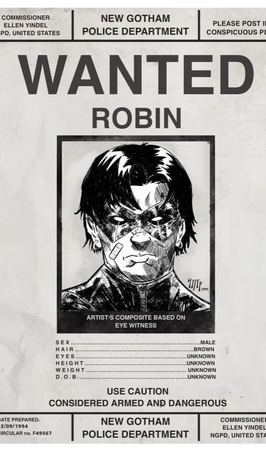 Robin poster