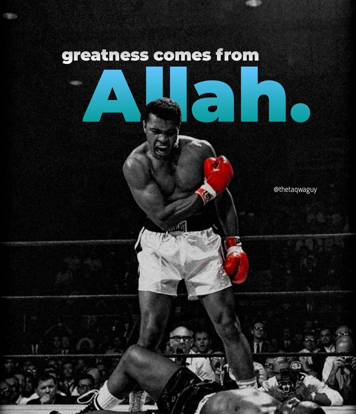 Ali poster