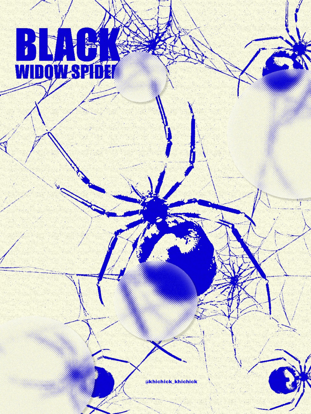 Black widow spider Poster