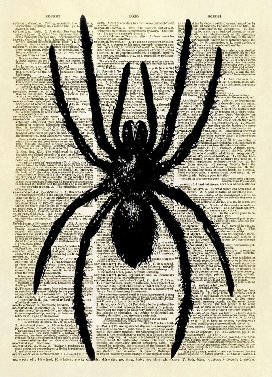 Spider poster