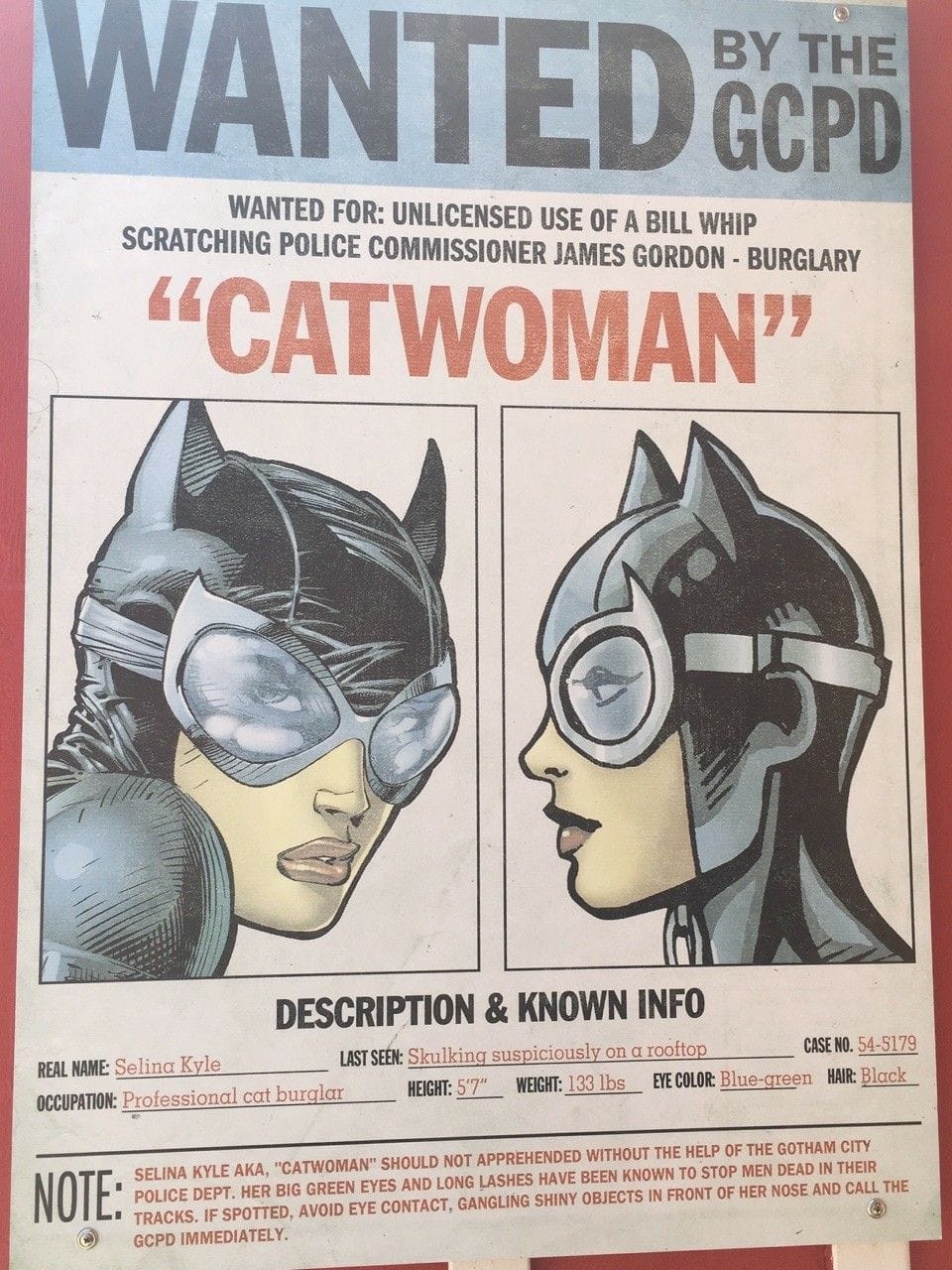 Cat woman poster