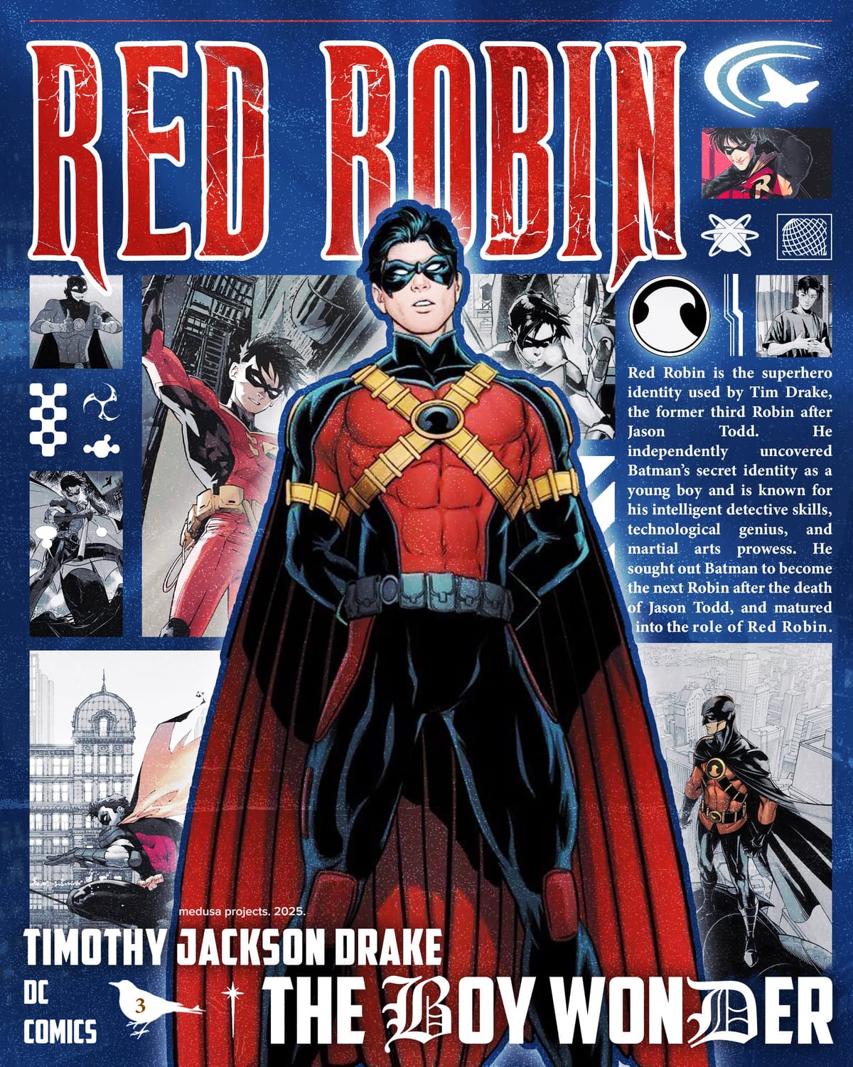 Tim Drake Red Robin Poster | Medusa Projects