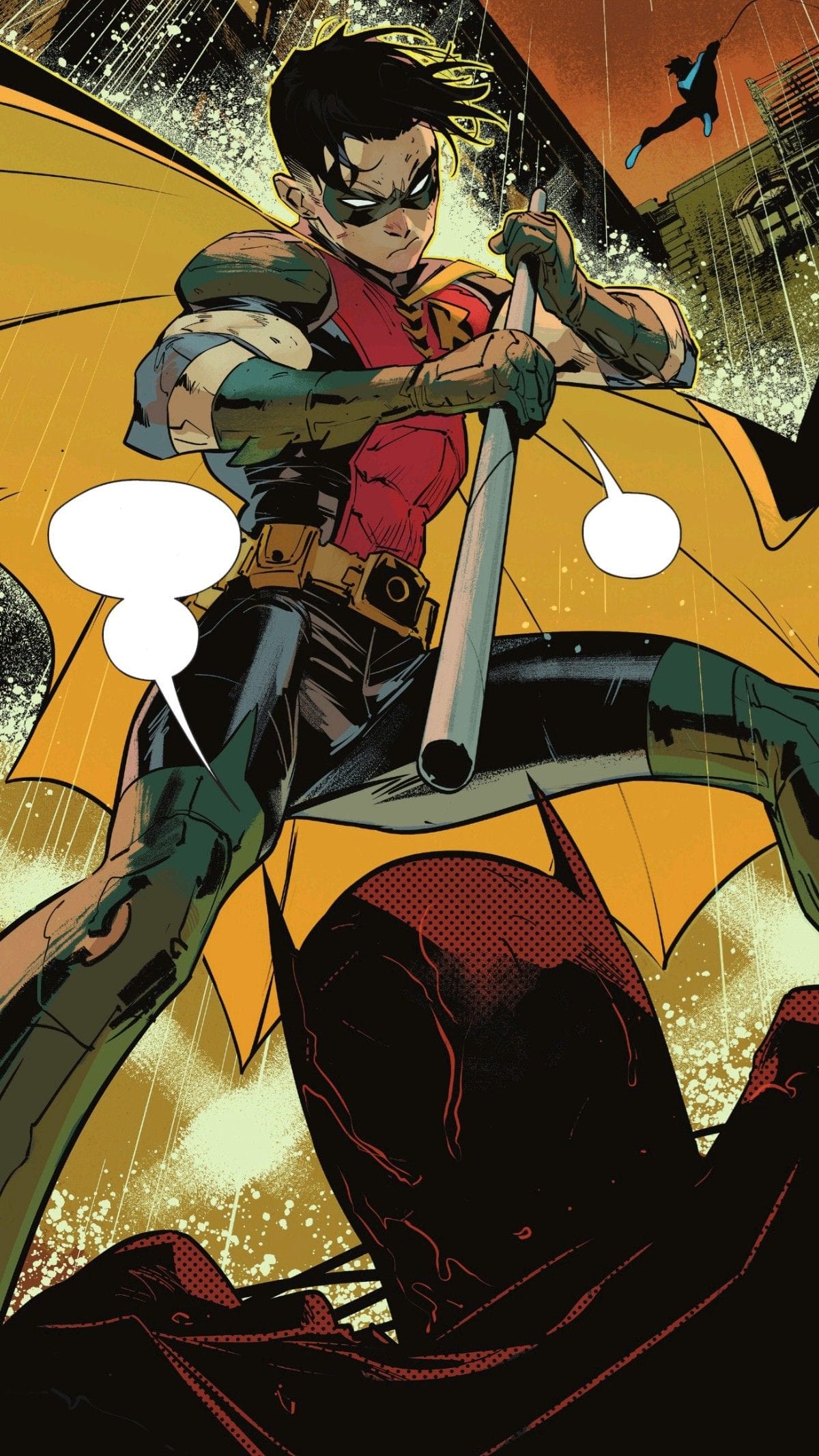 Robin Tim Drake
