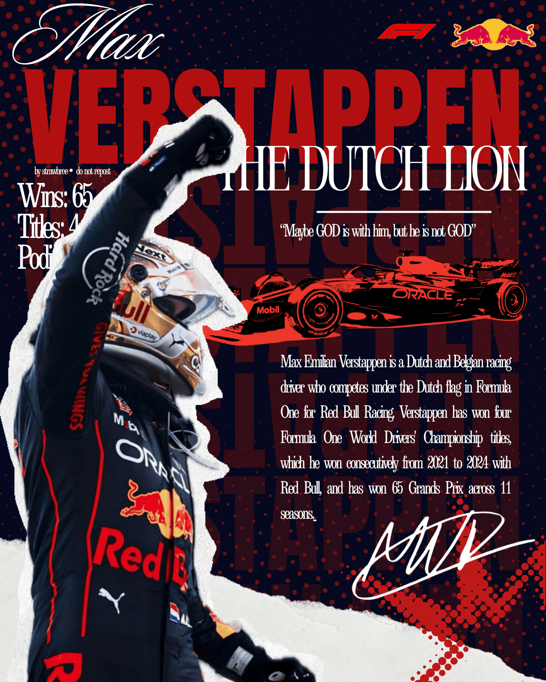Max vertappen poster