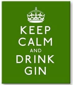Gin Quotes. QuotesGram