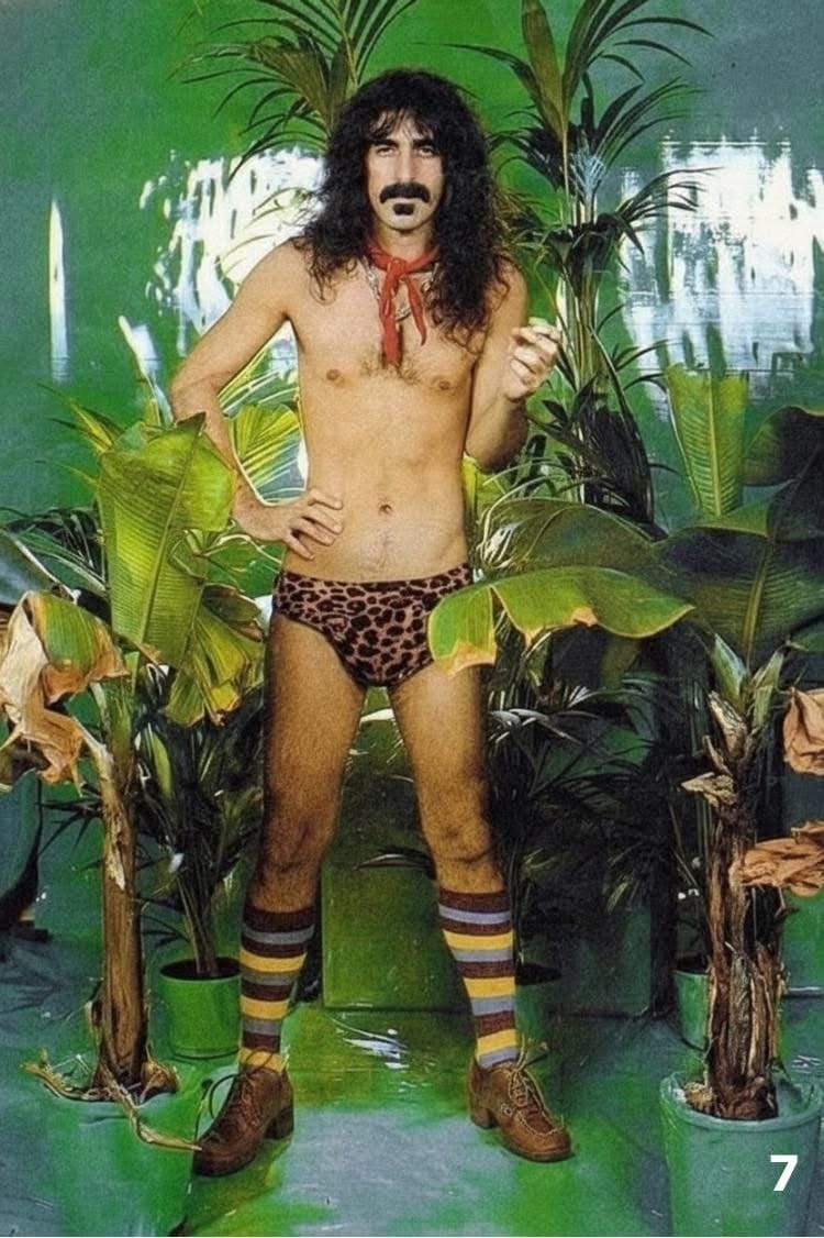 Frank Zappa poster