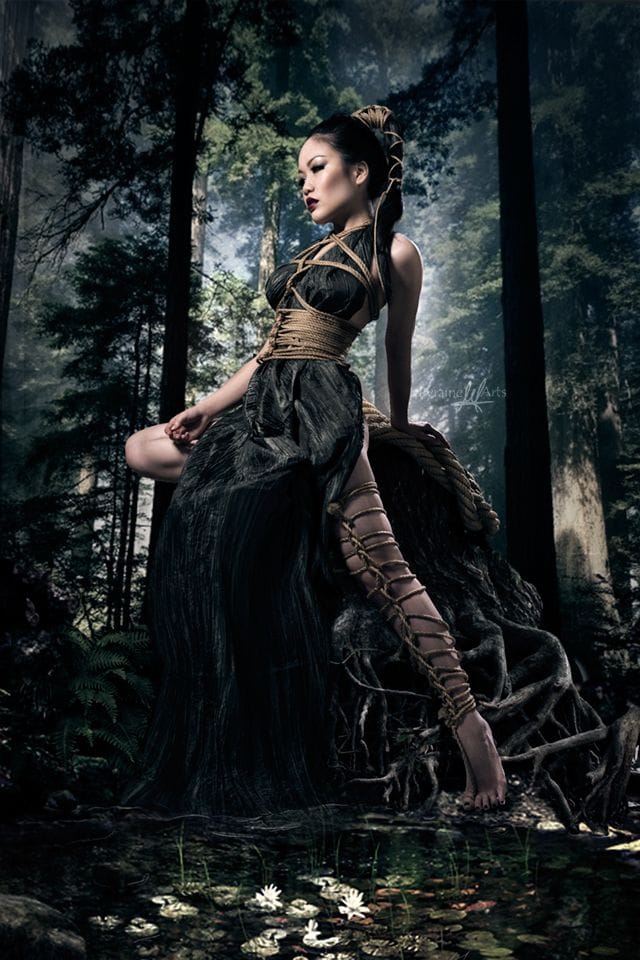 Shibari poster