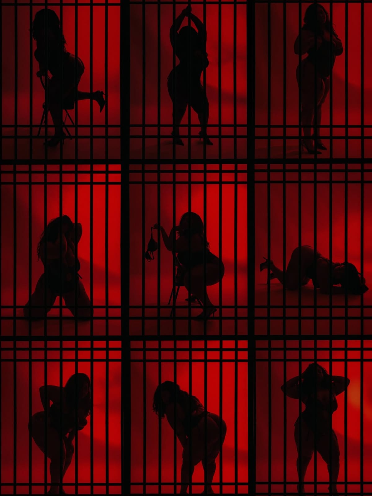 Shibari poster