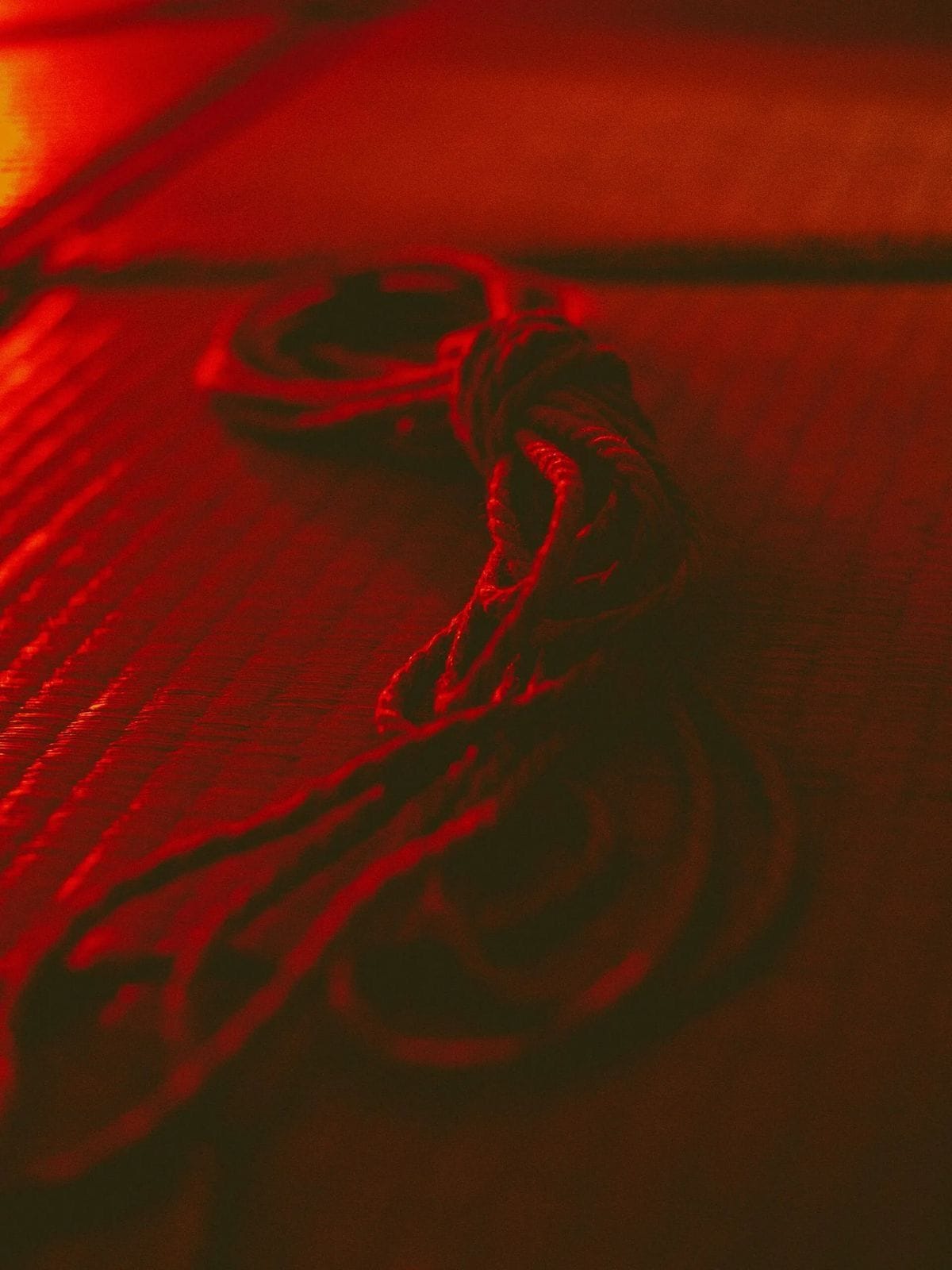 Shibari poster