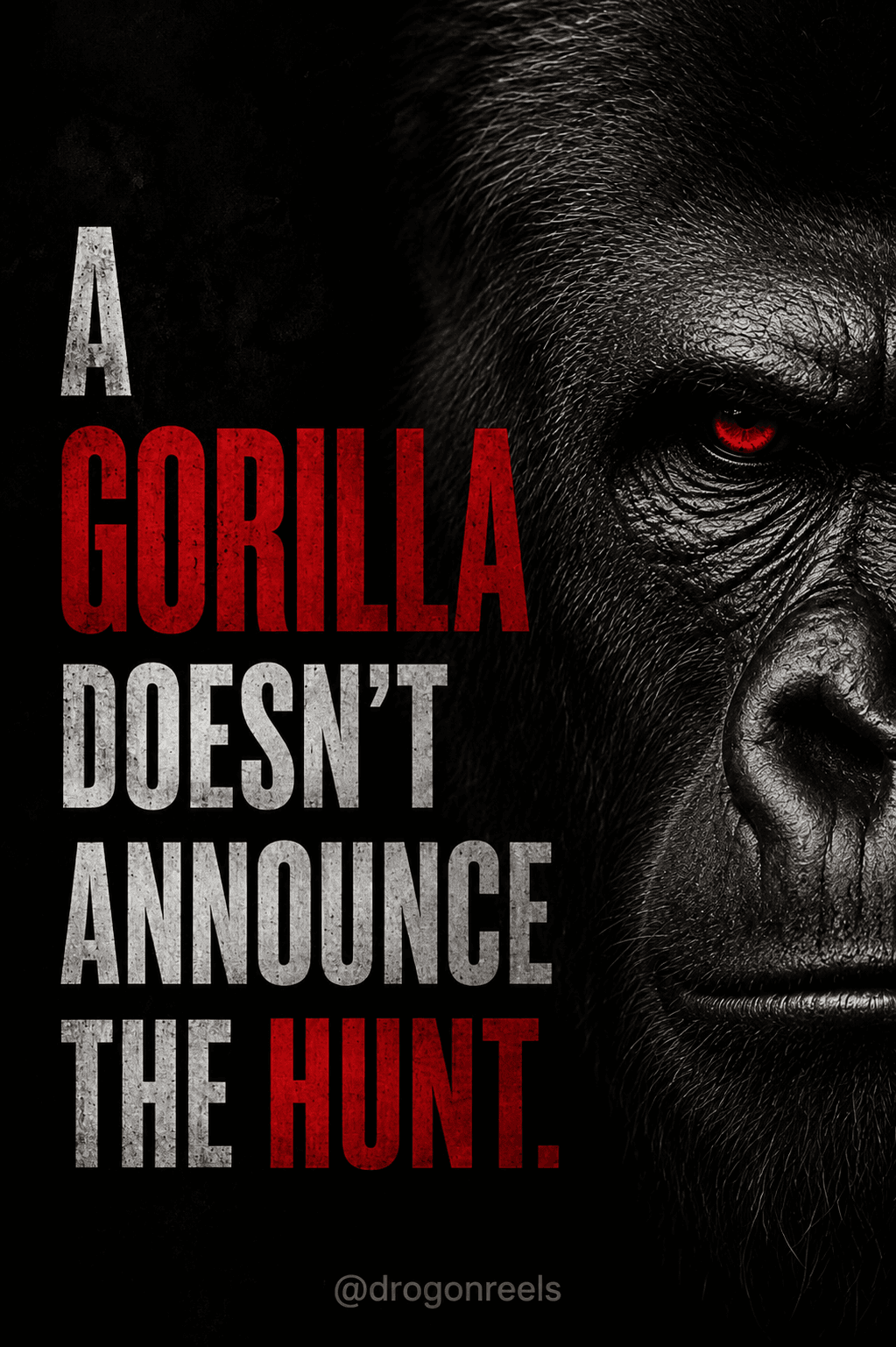 A GORILLA DOESN'T ANNOUNCE THE HUNT.