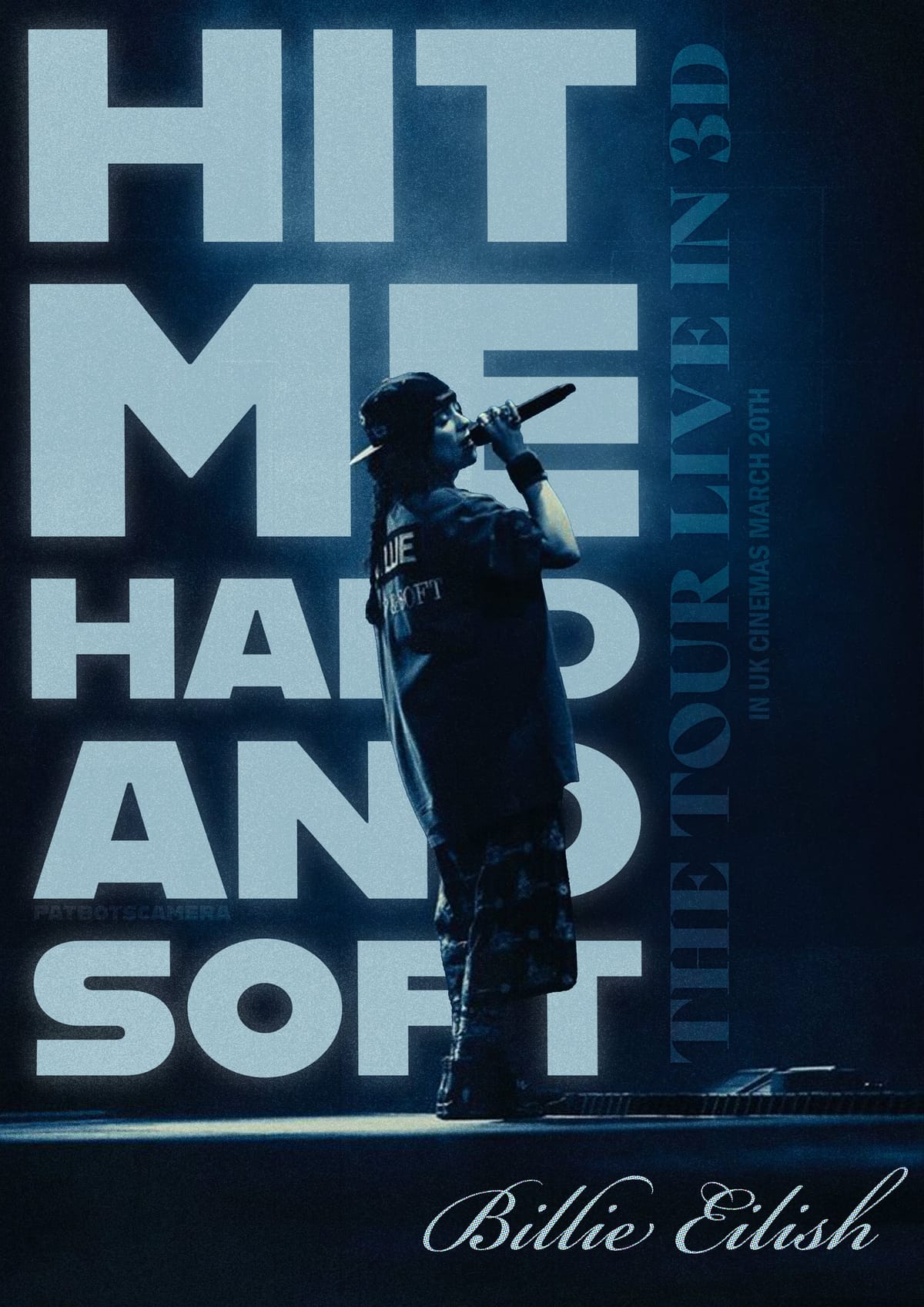 Hit Me Hard And Soft Poster