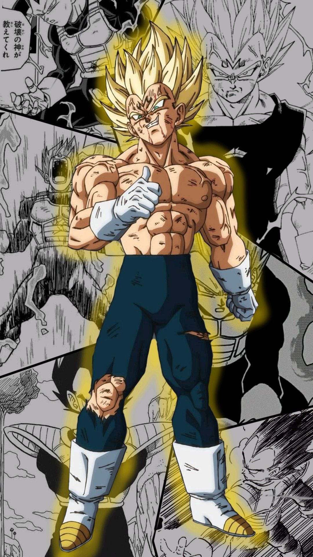 Prince of saiyans vegeta