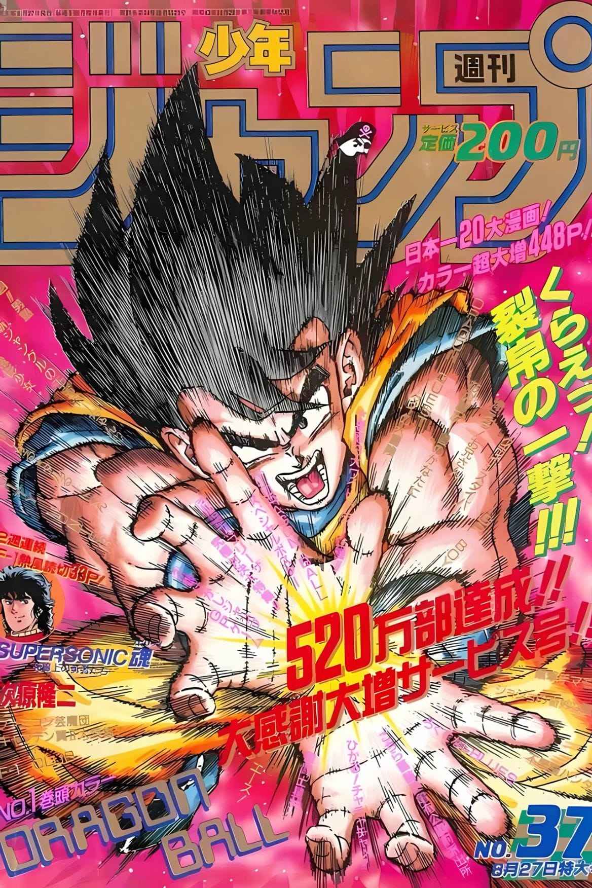 Goku Cover 22