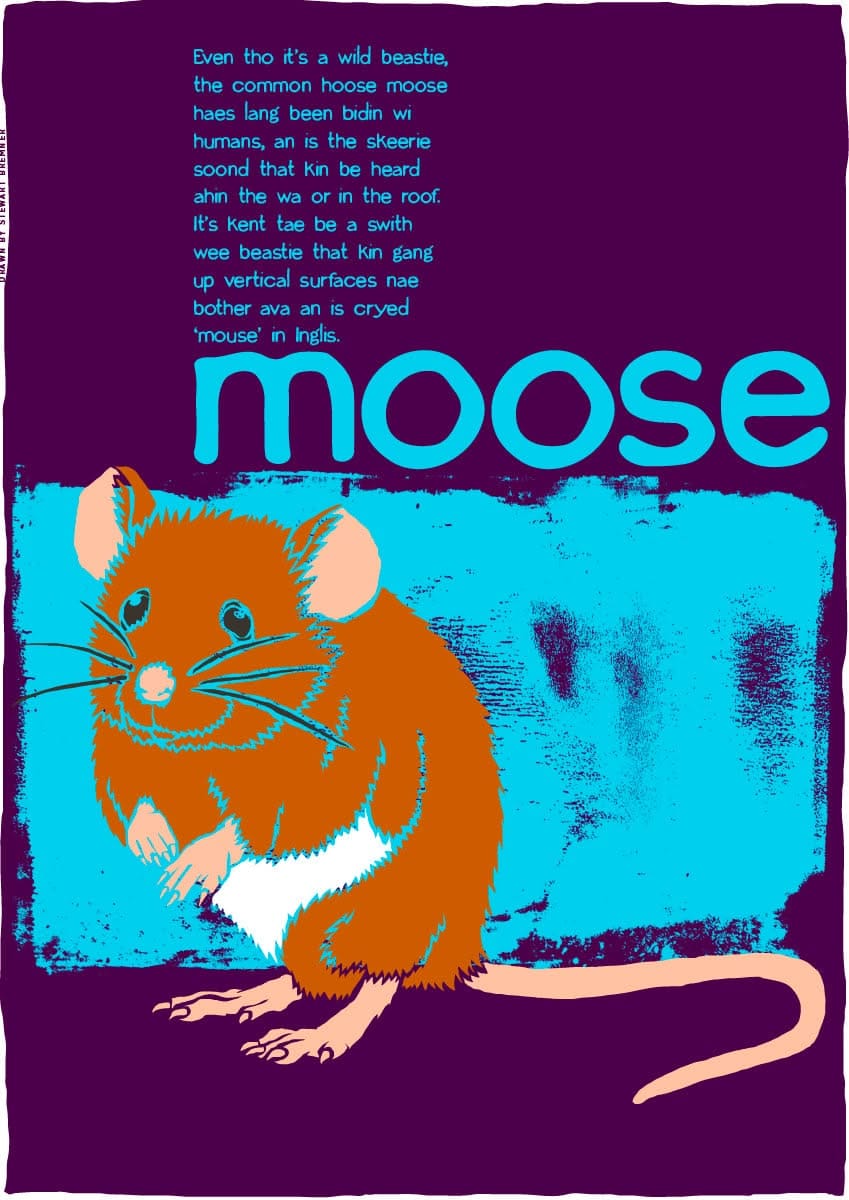 Moose – giclée print