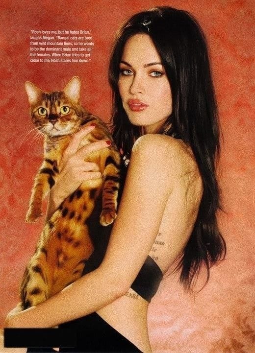 Megan Fox poster