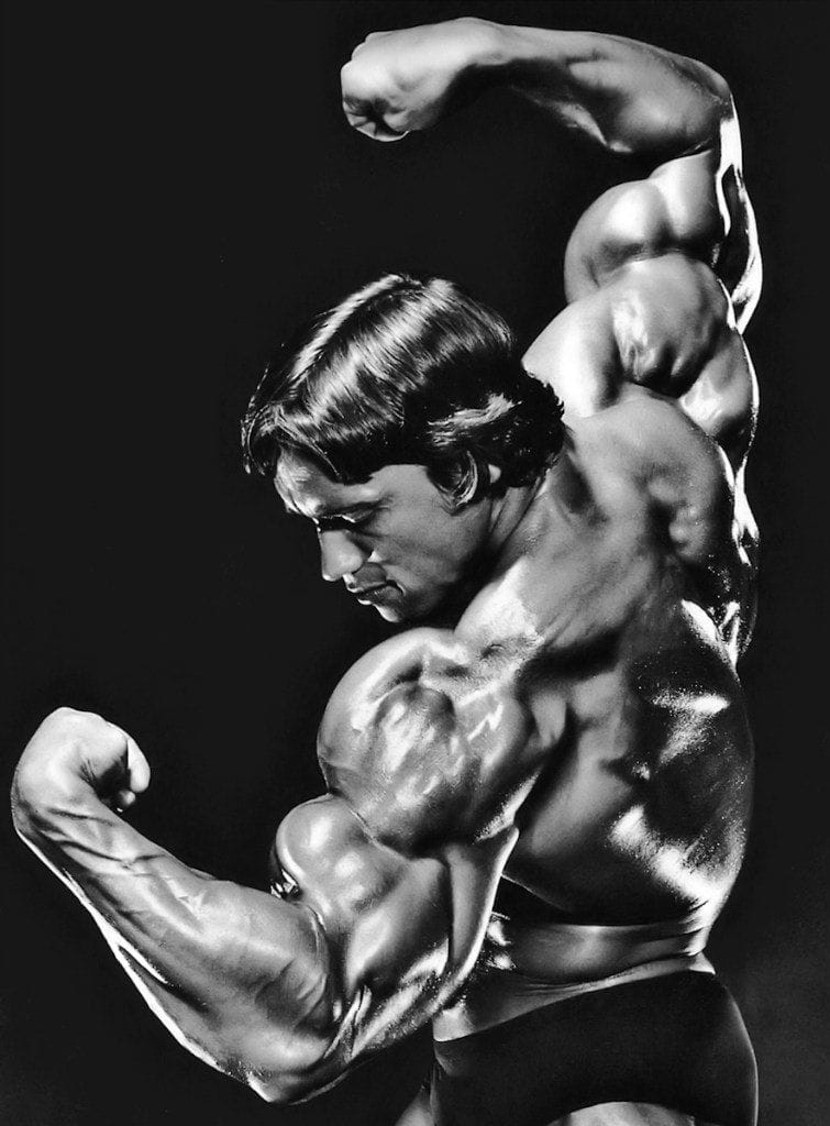 Arnold poster