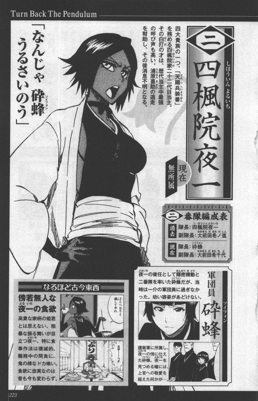 Yoruichi poster