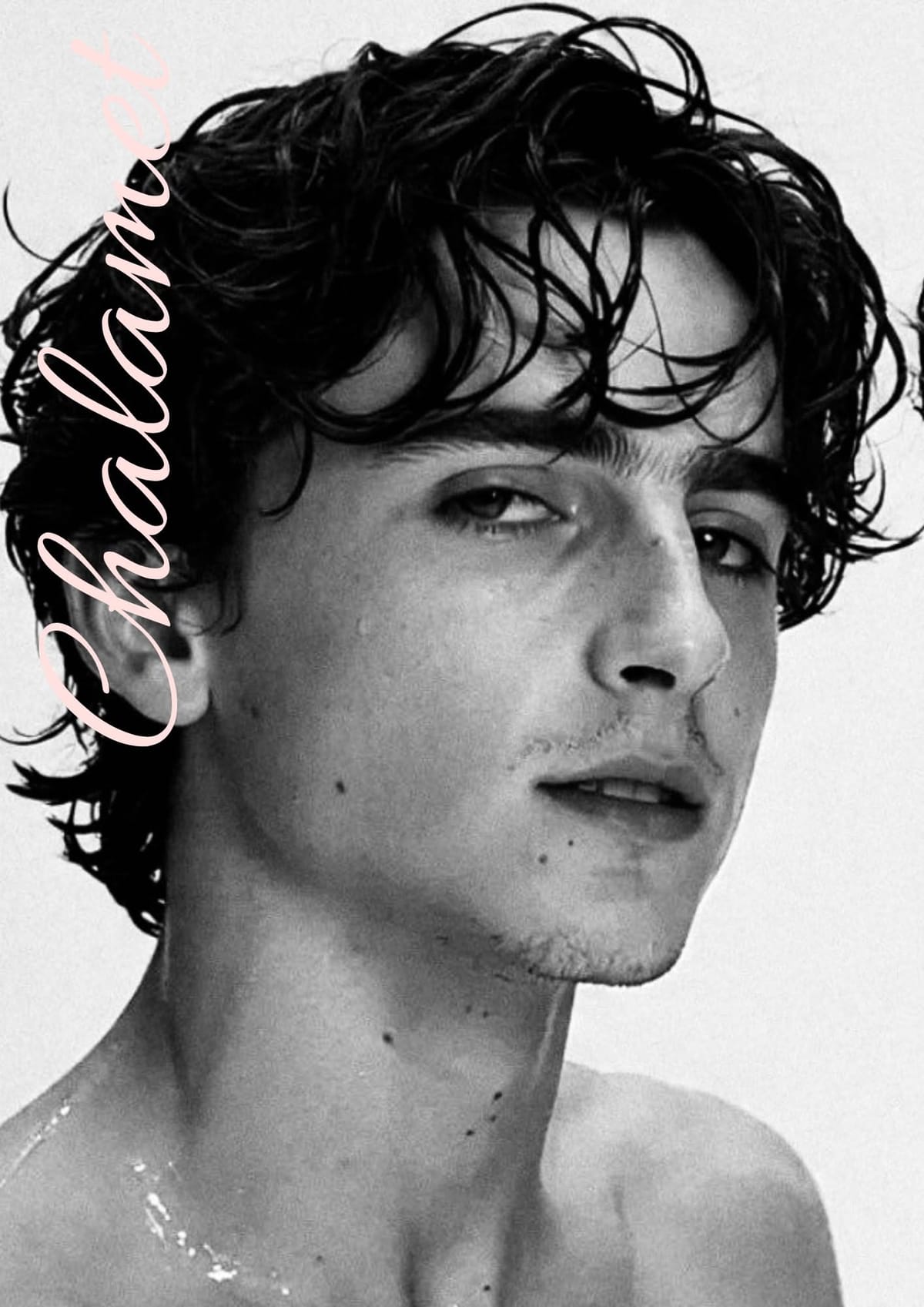 Timothee Chalamet Póster