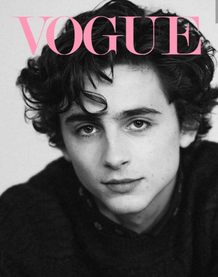 Timothee Chalamet poster