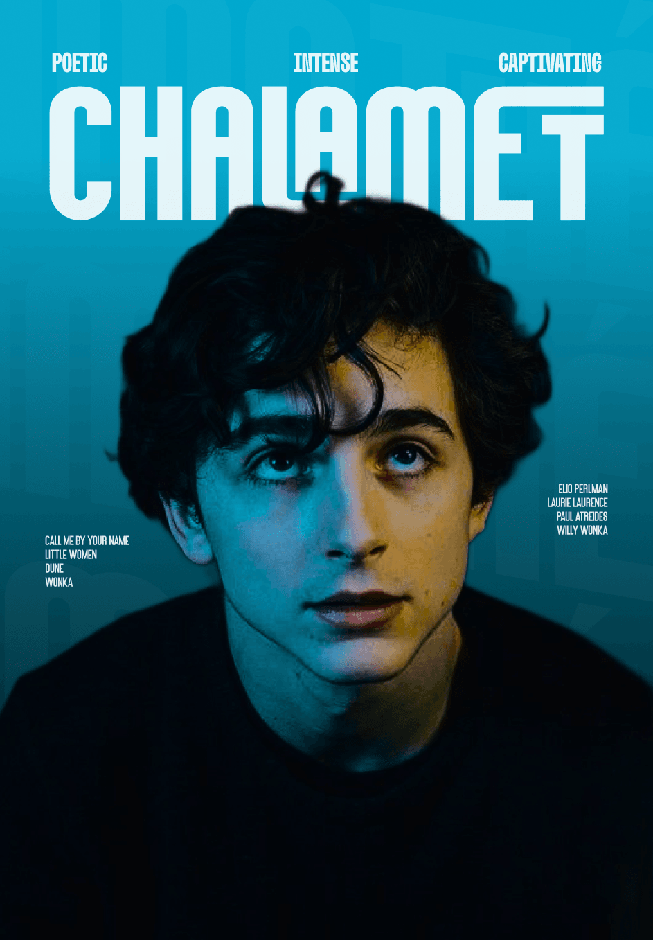 Timothée Chalamet Design Poster 👓