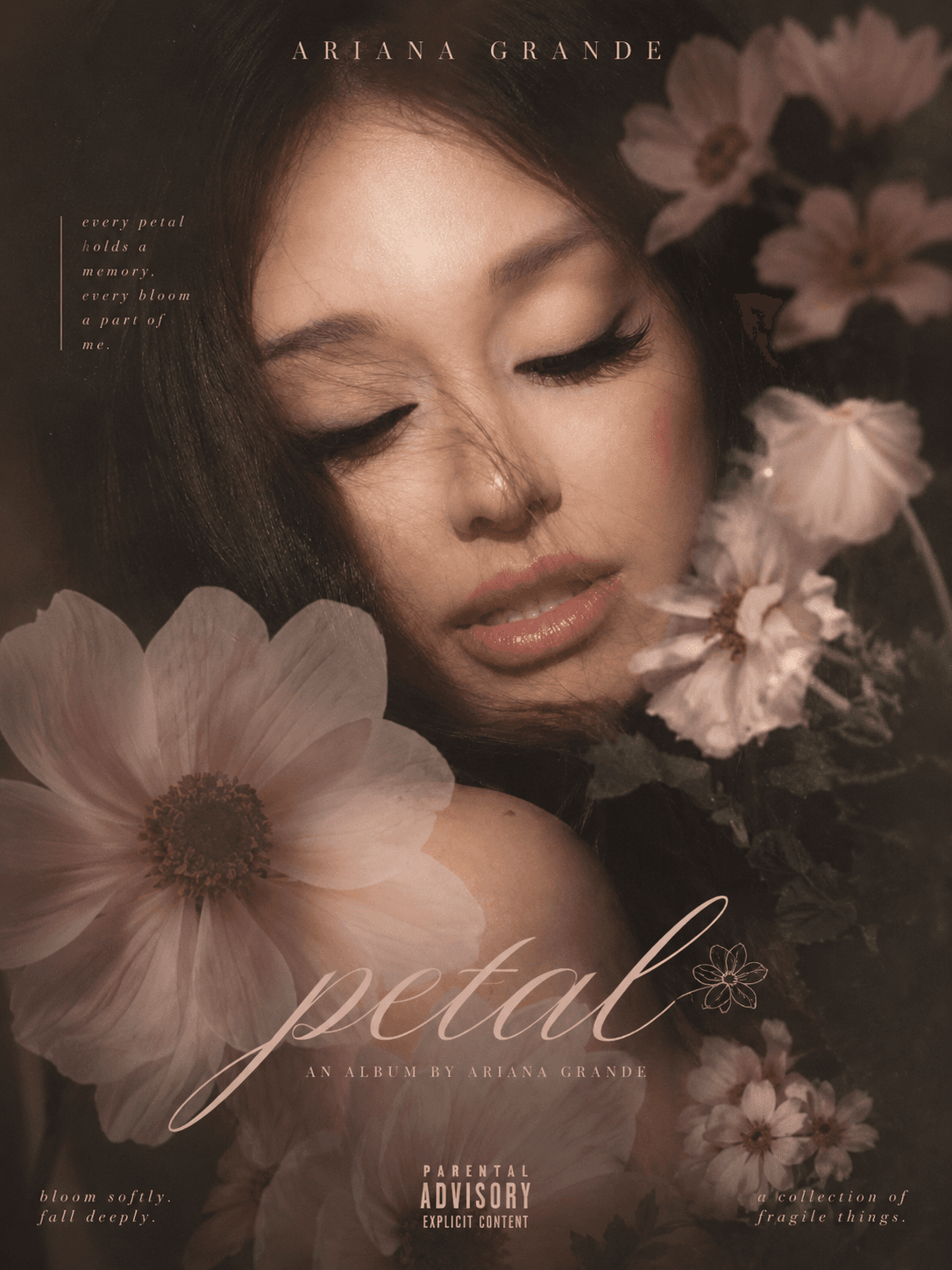 Ariana grande petal poster