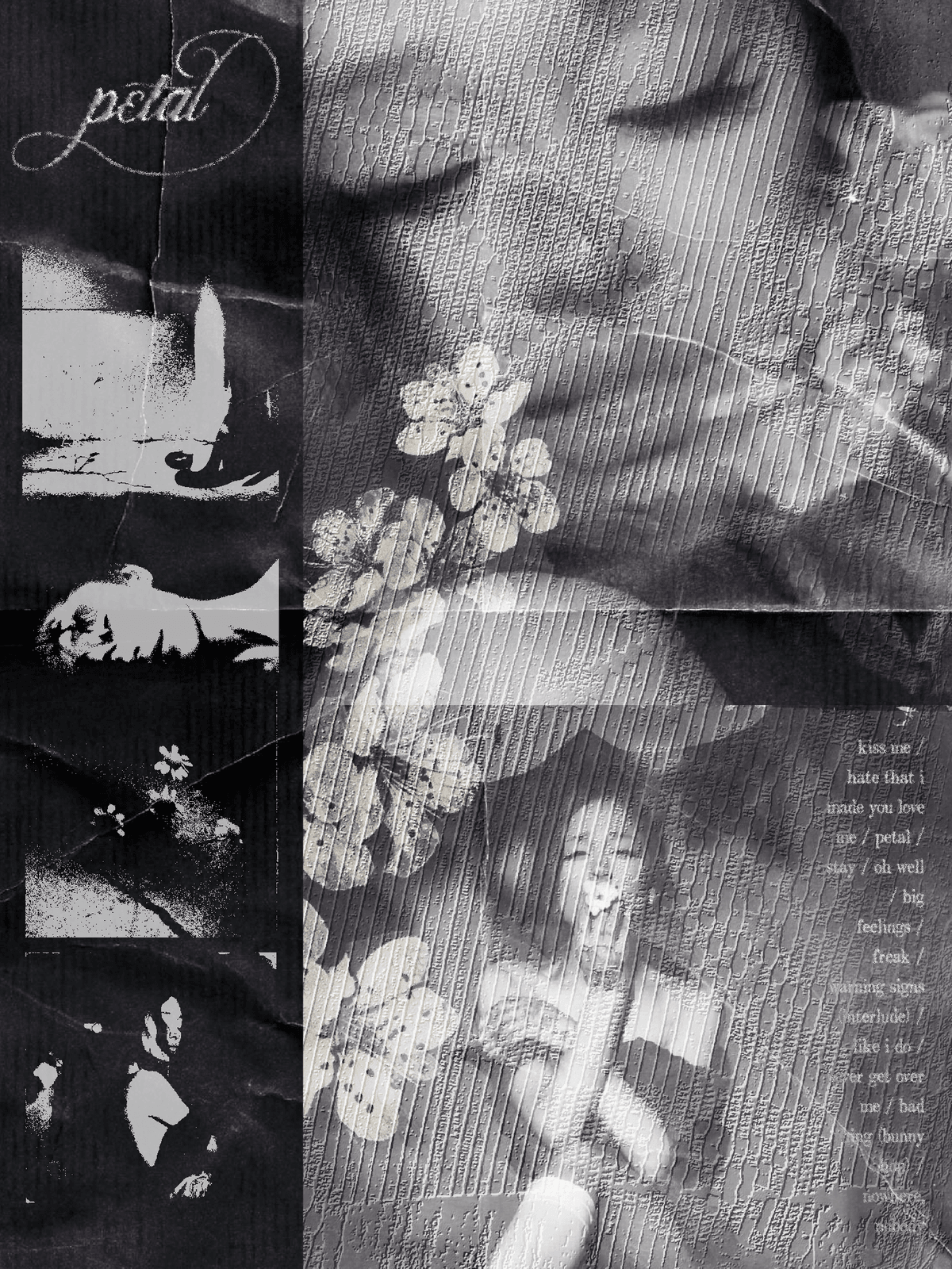ariana grande petal poster