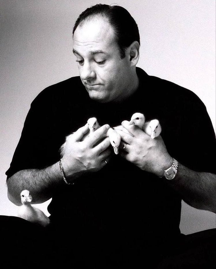 Tony Soprano poster