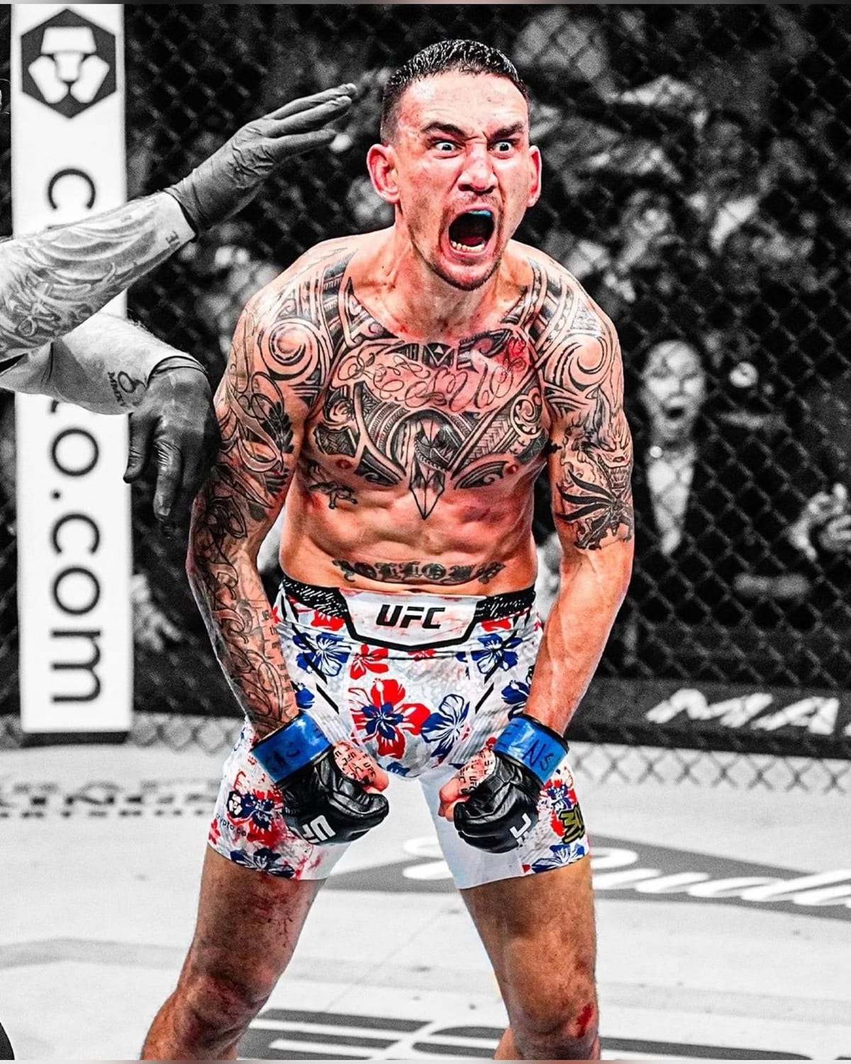 Max Holloway 🌴