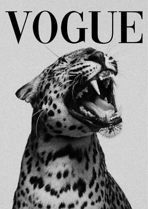 Leopard Vogue Fashion Poster Art - Cool Posters For All
