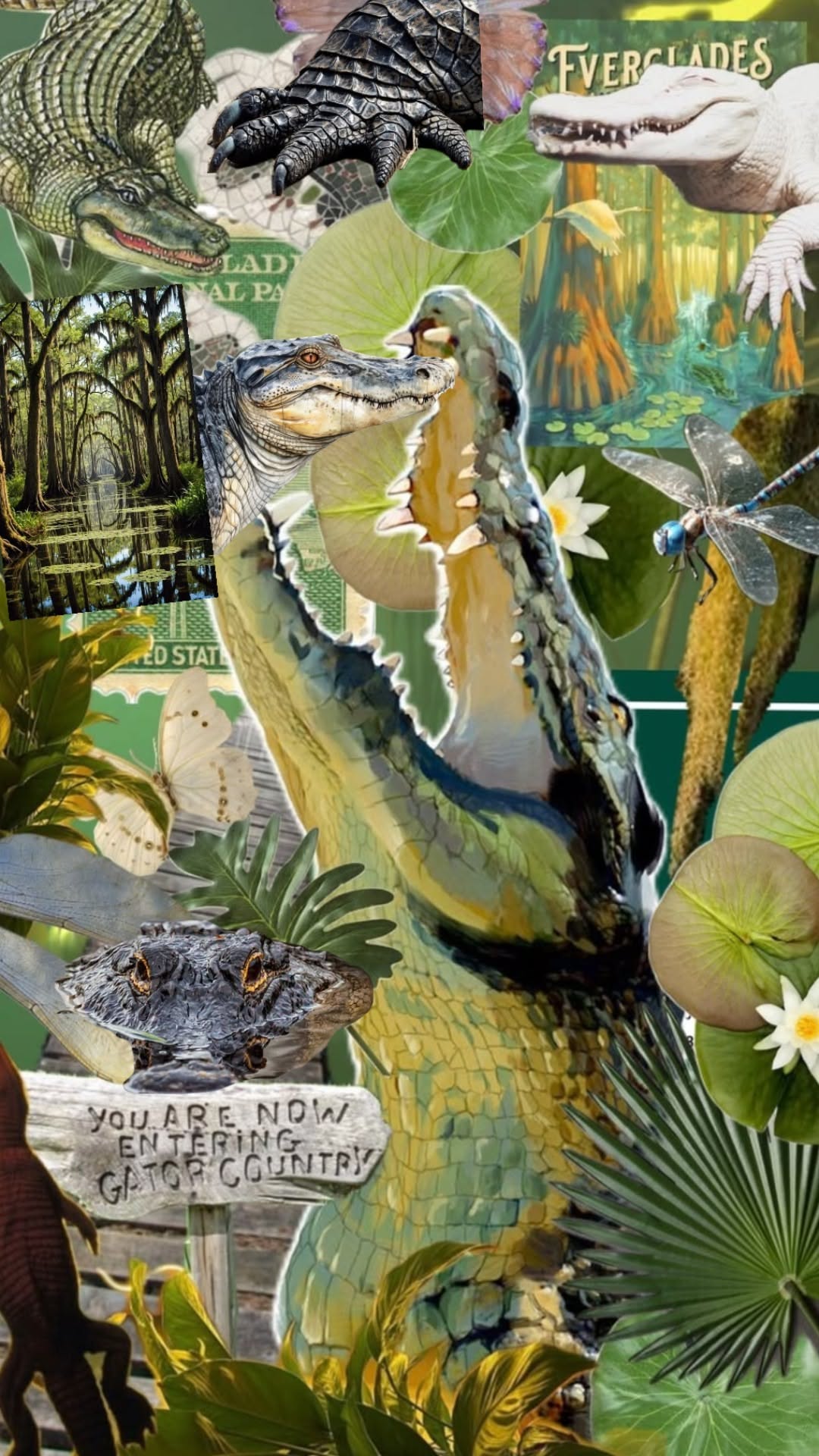 caiman negro