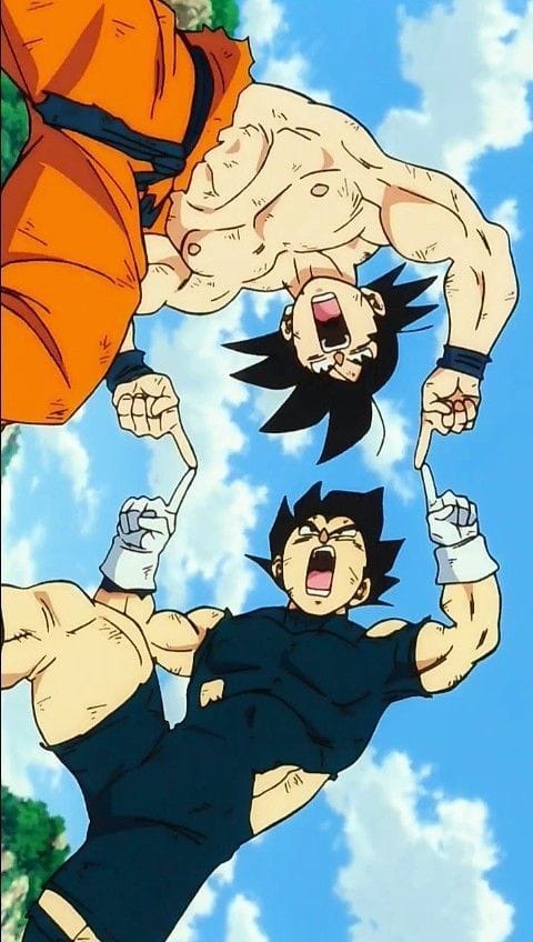 Goku, Vegeta poster