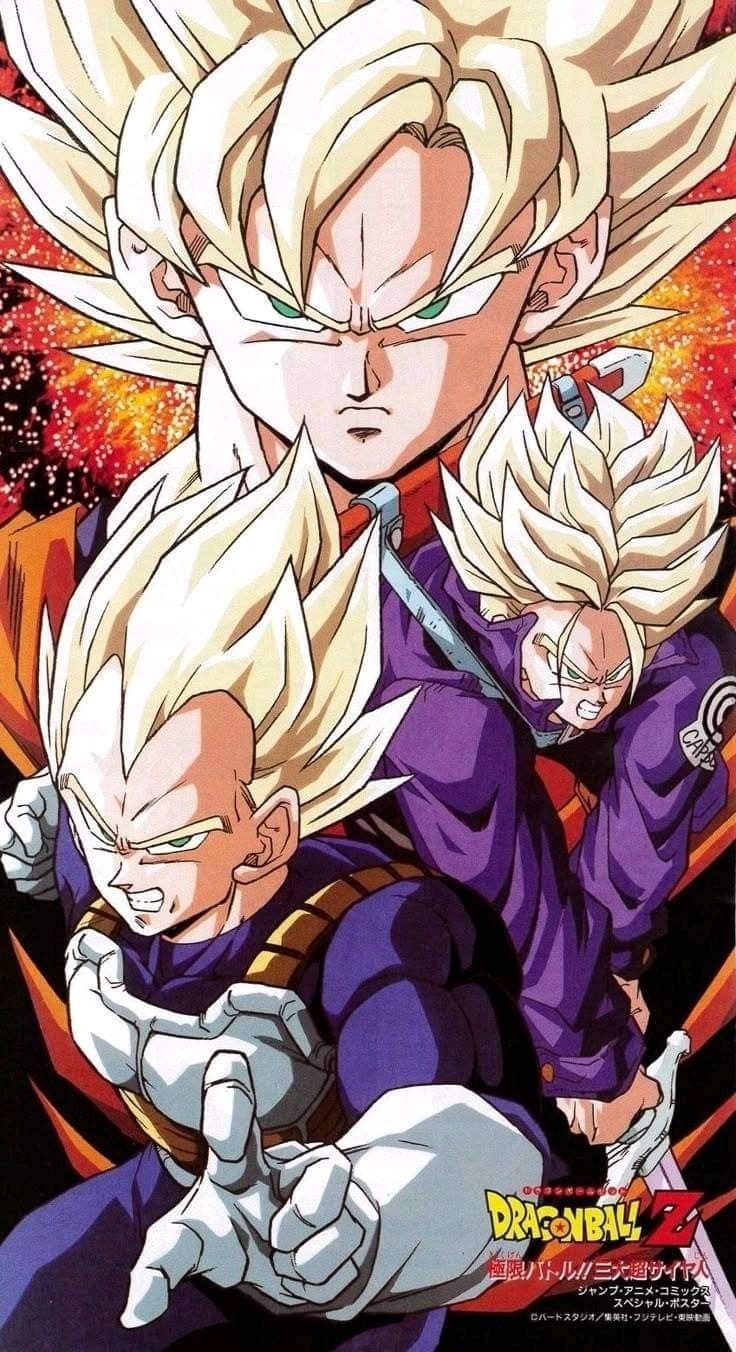 Goku, Vegeta poster