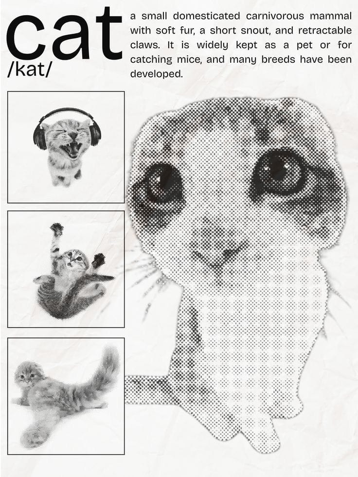 Cats poster