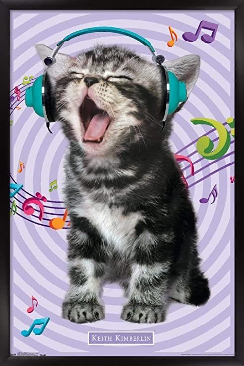 Cats poster