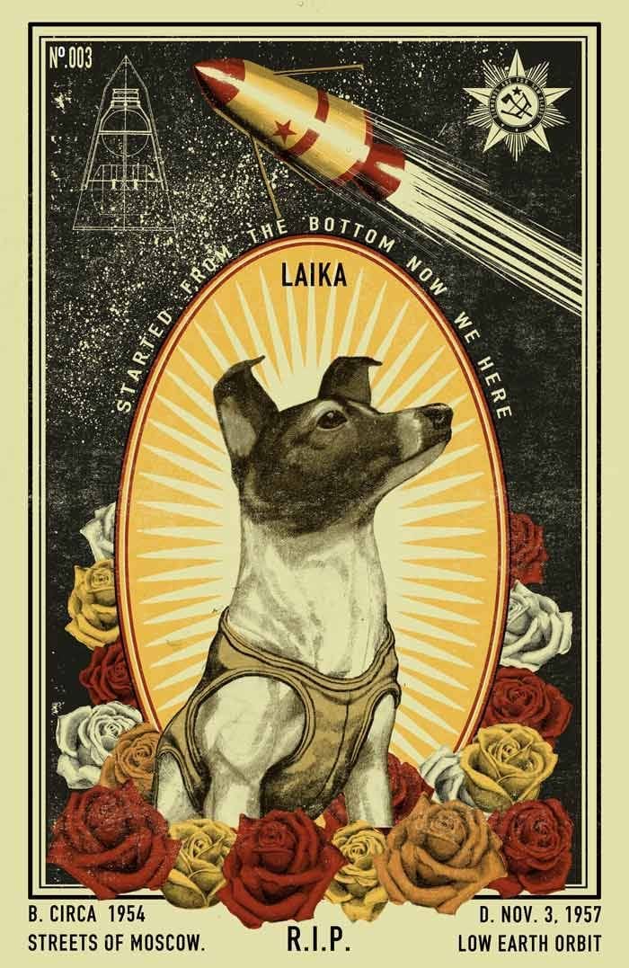 Doga poster